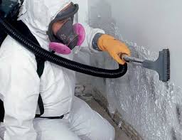 Best Crawl Space Mold Remediation  in Rio Vista, TX